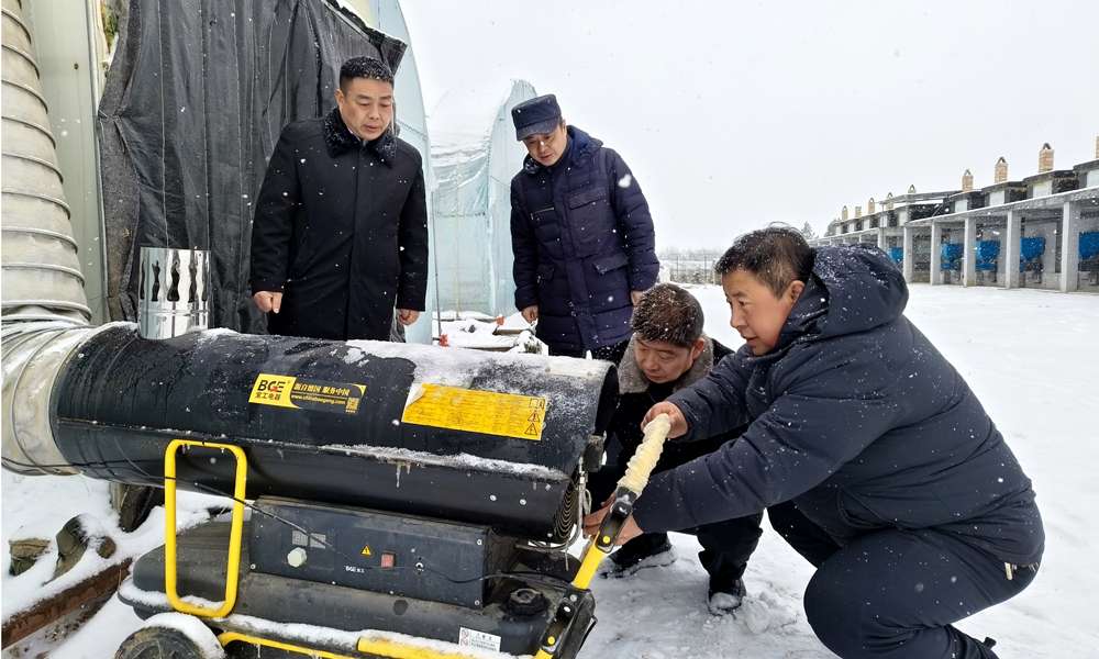 2.彬州市局（分公司）技术人员协助育苗户对育苗棚采取增温保温措施.jpg