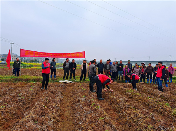 湖南茶陵烟草深化党业融合 写好烟农服务“三篇文章”