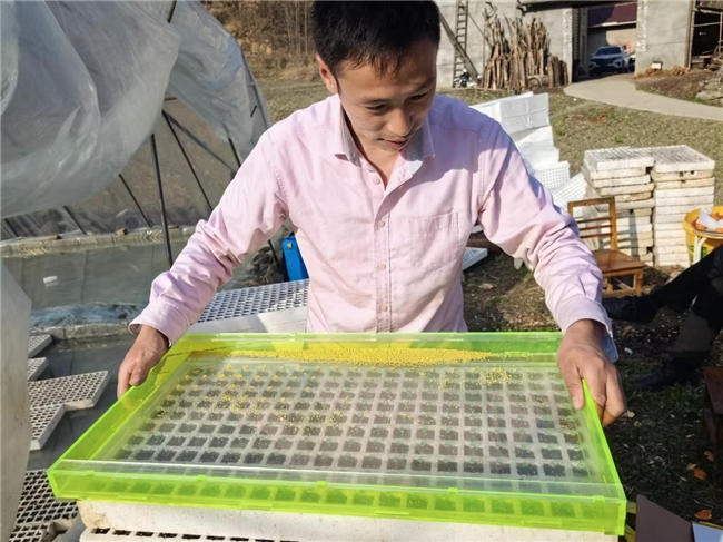 抢抓时令促生产 夯实产业助振兴