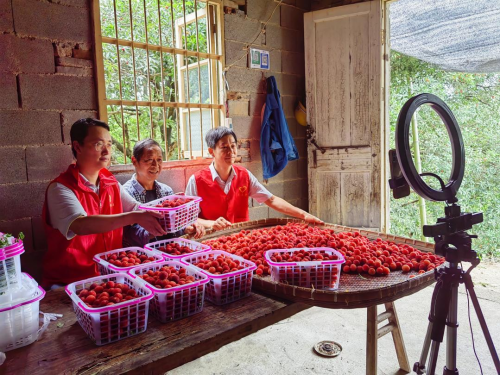 浙江德清：向“数”而行 小终端也有大作为