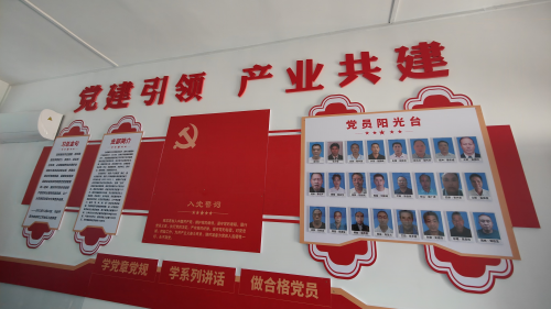 种好黄金叶 引来致富香