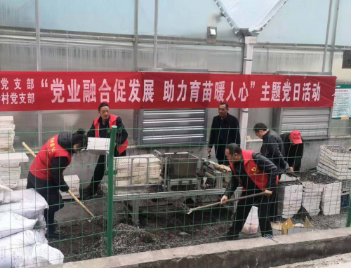 陕西旬阳：赶趁好春光 播种新希望