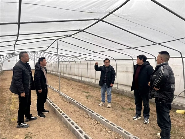 湖北长阳：育苗孕希望 新年添动能