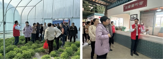 蕲春县烟草专卖局：巧手卷艾齐争艳 魅力巾帼展风采