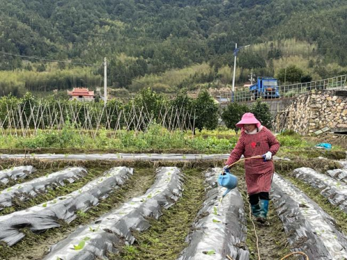 “她”力量：我生来就是高山而非溪流