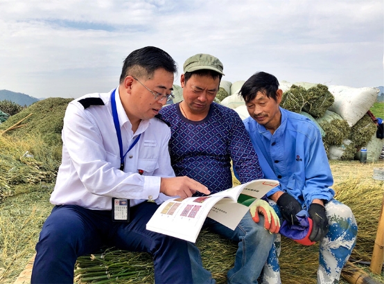 阳春三月 这里“锋”景独好