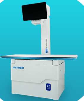 dr品牌怎么样2024年上半年中国宠物DR市场前十强品牌分析_https://www.jmylbn.com_新闻资讯_第3张