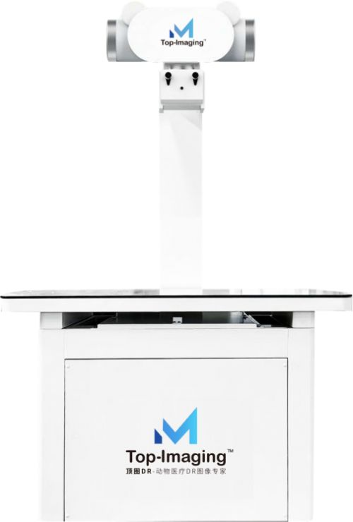 dr品牌怎么样2024年上半年中国宠物DR市场前十强品牌分析_https://www.jmylbn.com_新闻资讯_第6张