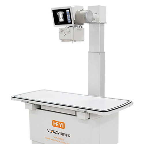 dr品牌怎么样2024年上半年中国宠物DR市场前十强品牌分析_https://www.jmylbn.com_新闻资讯_第8张