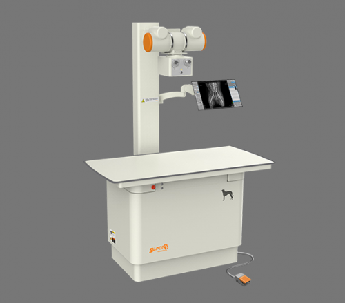 dr品牌怎么样2024年上半年中国宠物DR市场前十强品牌分析_https://www.jmylbn.com_新闻资讯_第10张