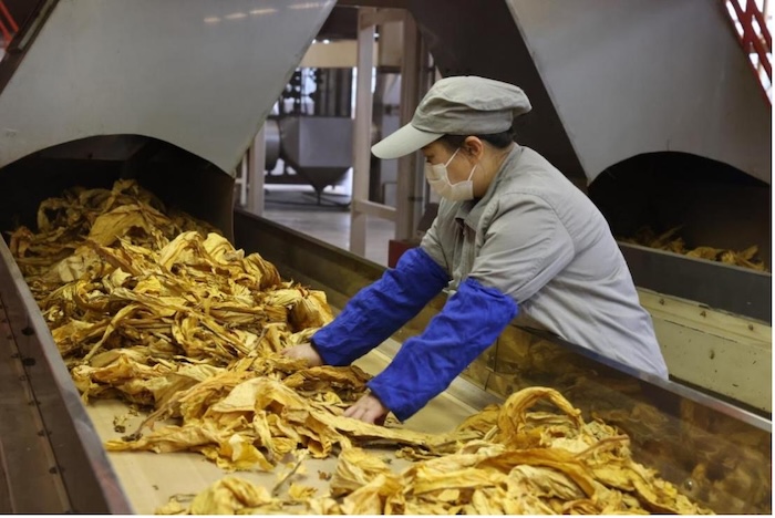 1732774168279964.jpg 1732774168279964.jpg