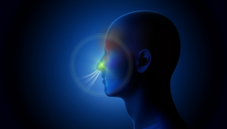 清华大学与北京同仁医院团队发表研究 揭示慢性鼻病复发关键机制 清华大学与北京同仁医院团队发表研究 揭示慢性鼻病复发关键机制