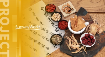 三维天地药典智能引擎｜智能药典知识中枢与全链路质控引擎