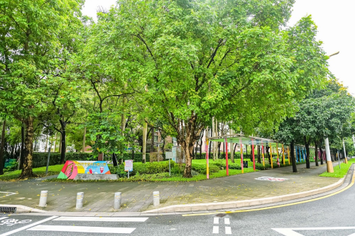 南方基金参建的深圳首个金融教育宣传主题公园正式开园