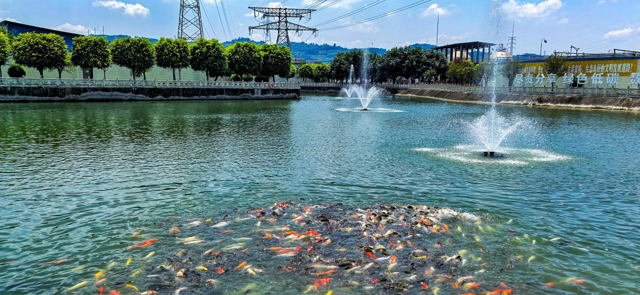 解码福华化学的绿色崛起之路