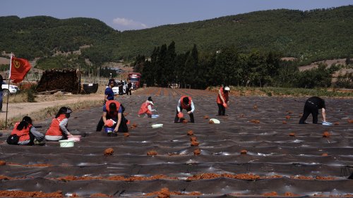 一直游到海水变蓝——在时代长潮中校准青年前行方向