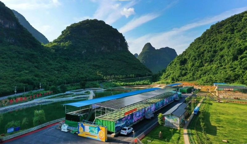 “一片叶子富一方百姓” 昭平茶产业铺就乡村振兴路