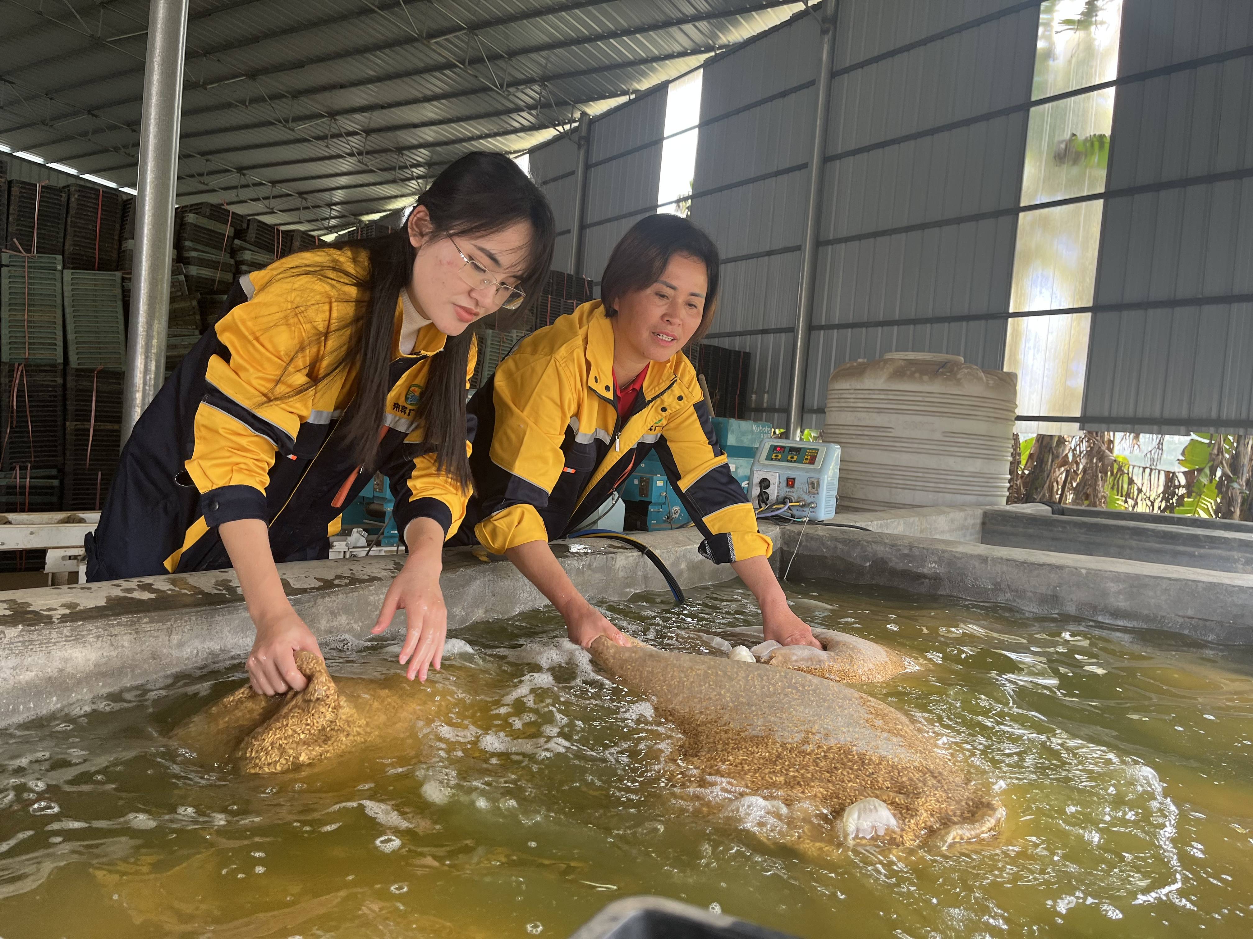 “她乡好货”数智赋能，助力乡村女性踩实数字化脚步